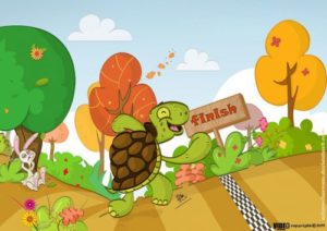 the rabbit and tortoise story in english